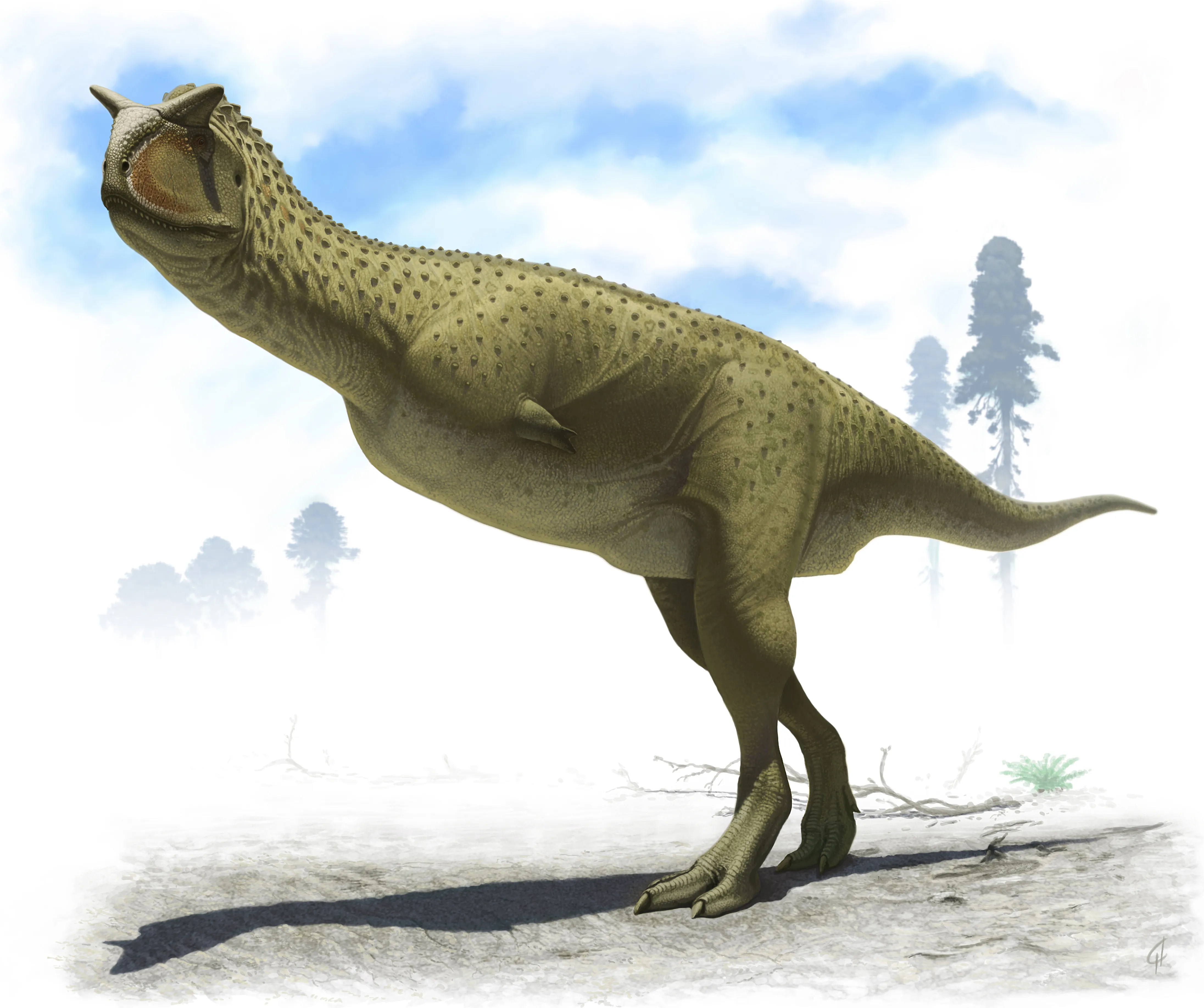 Carnotaurus