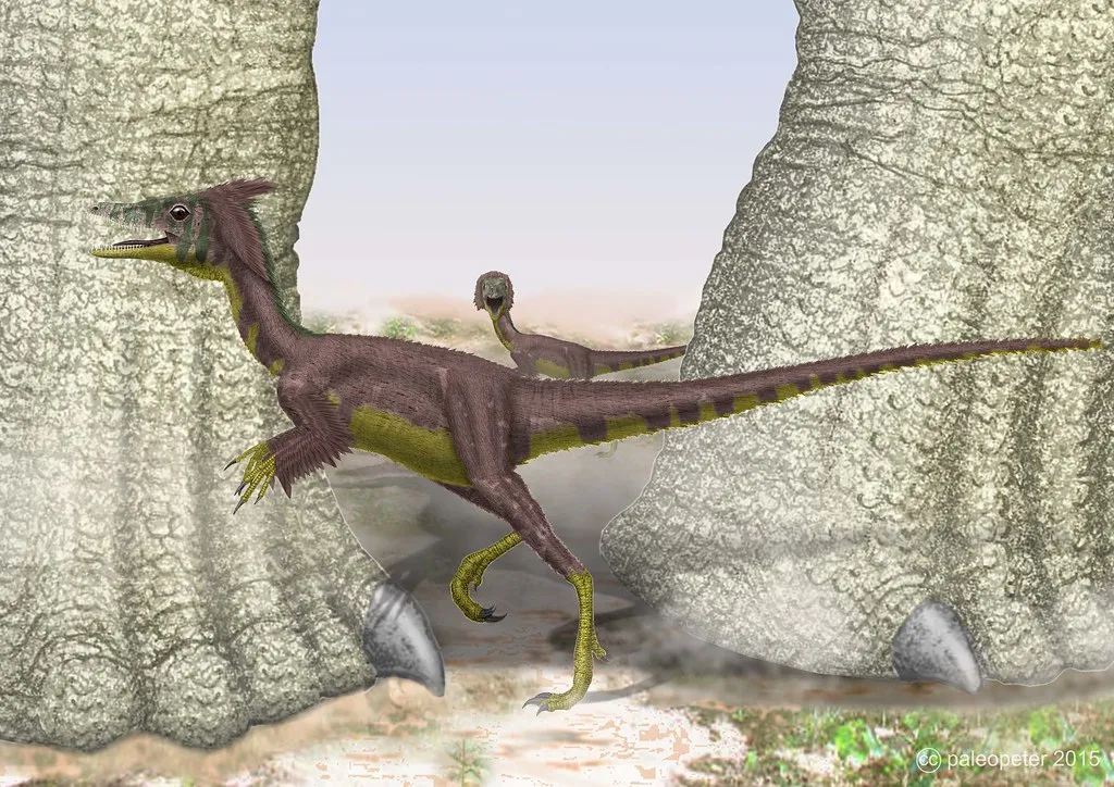 Compsognathus