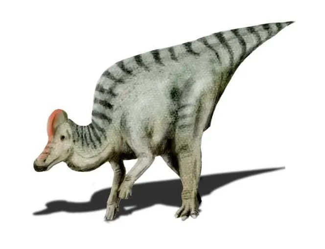 Corythosaurus