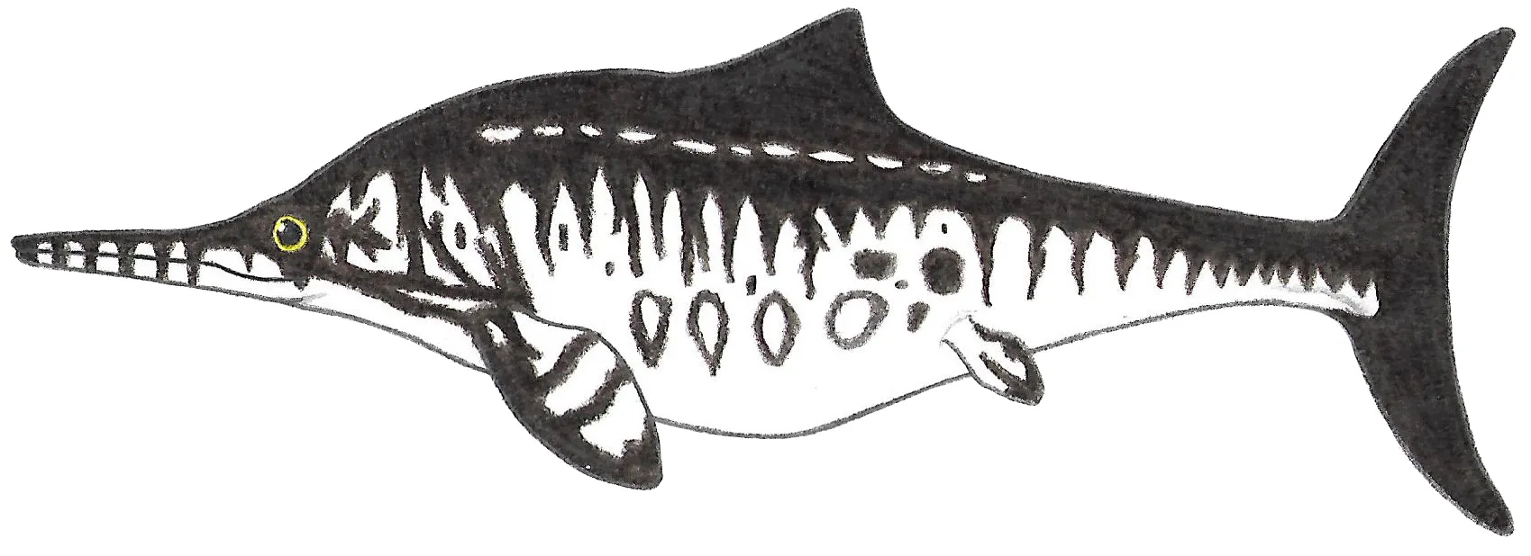 Ichthyosaurus