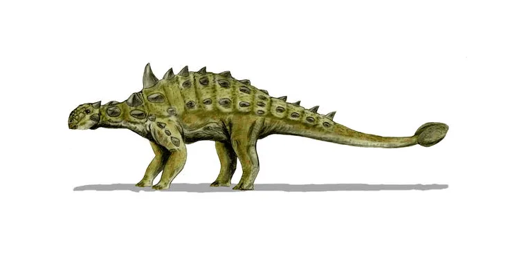 Euoplocephalus