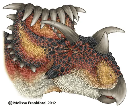 Kosmoceratopskopf