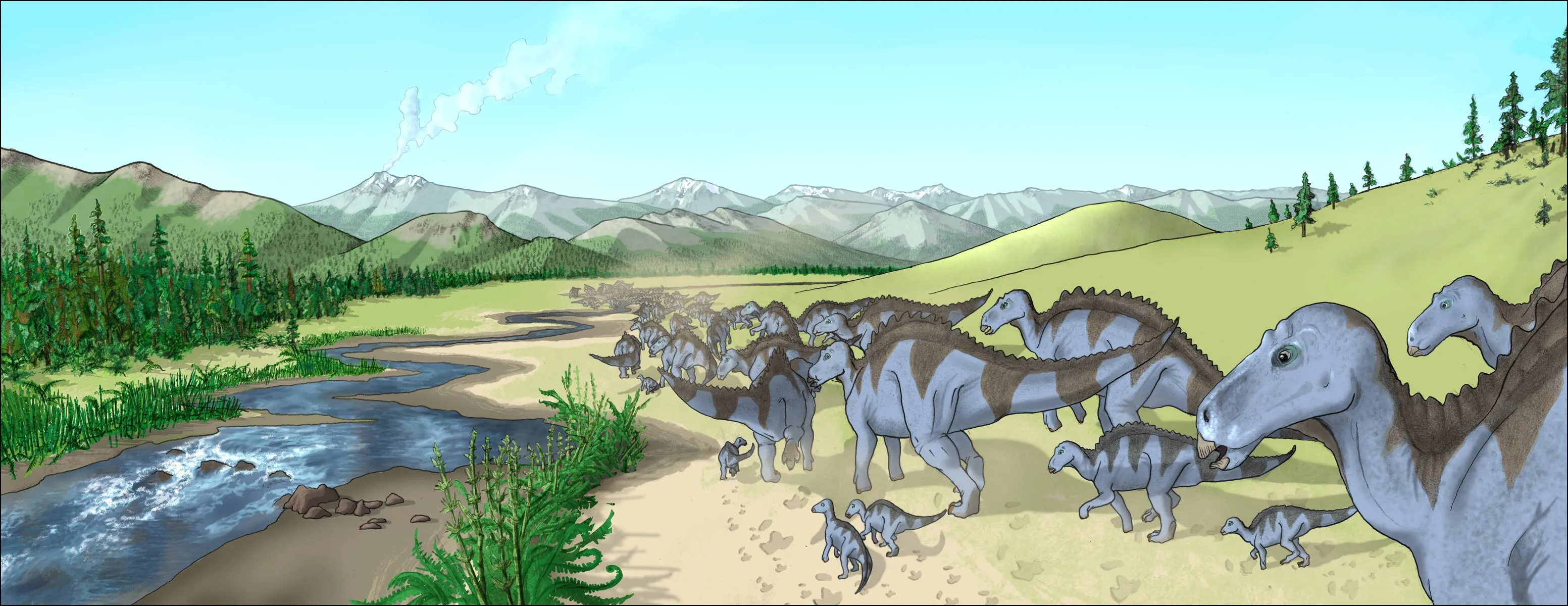 Maiasaura Herde