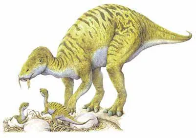 Maiasaura und Nest