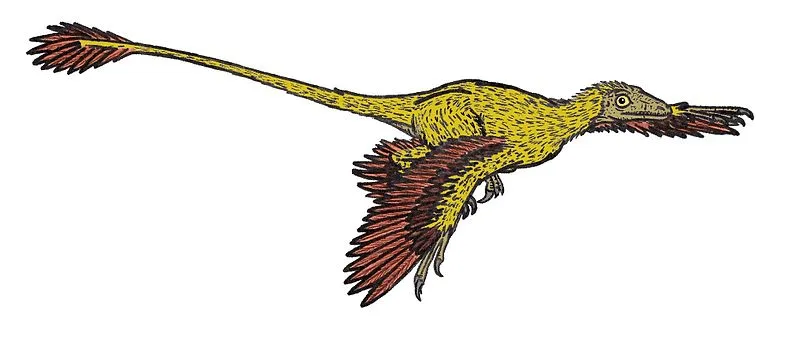 Microraptor