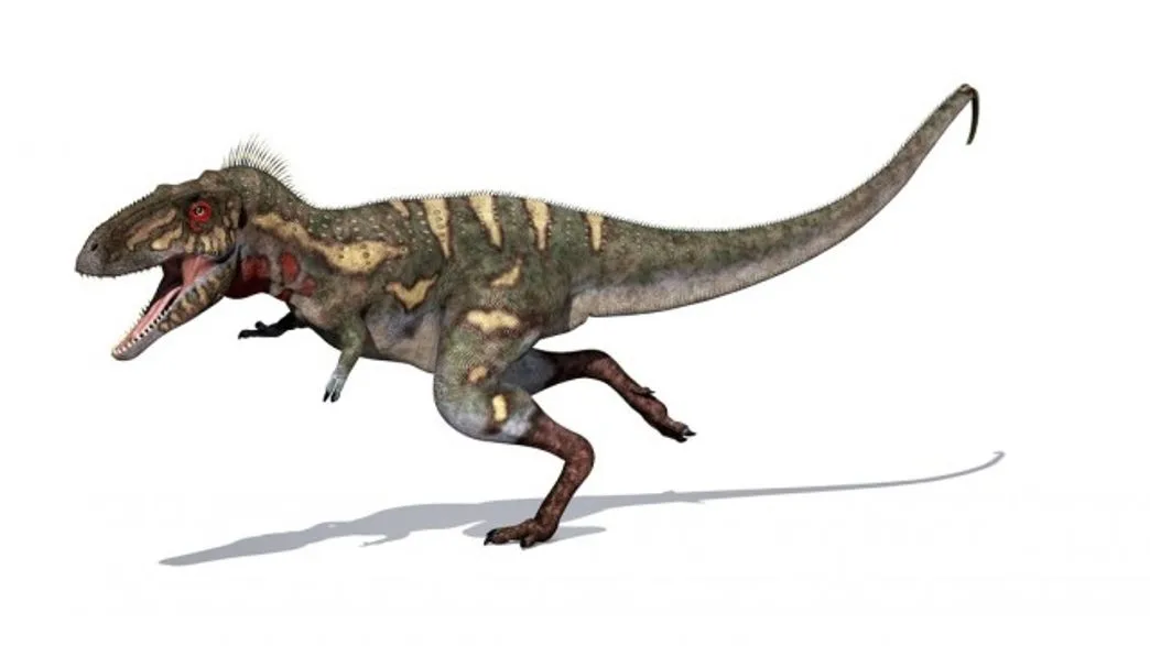 Nanotyrannus