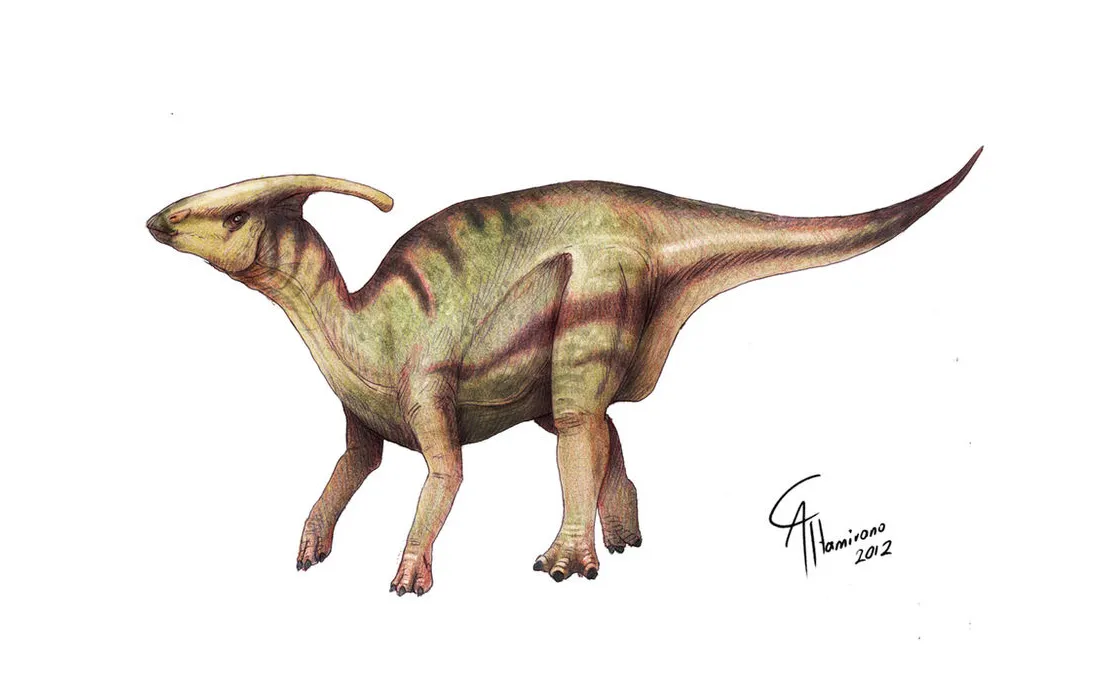 Parasaurolophus