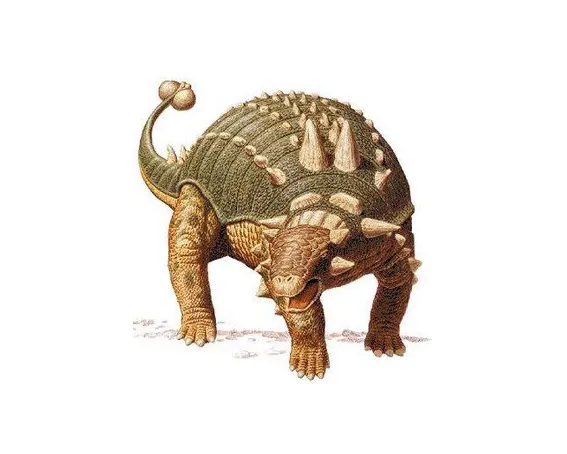 Pinacosaurus