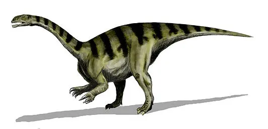 Plateosaurus