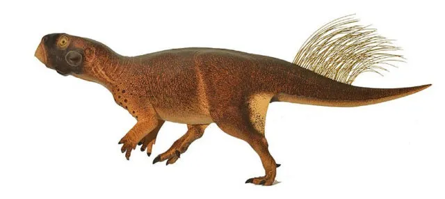 Psittacosaurus