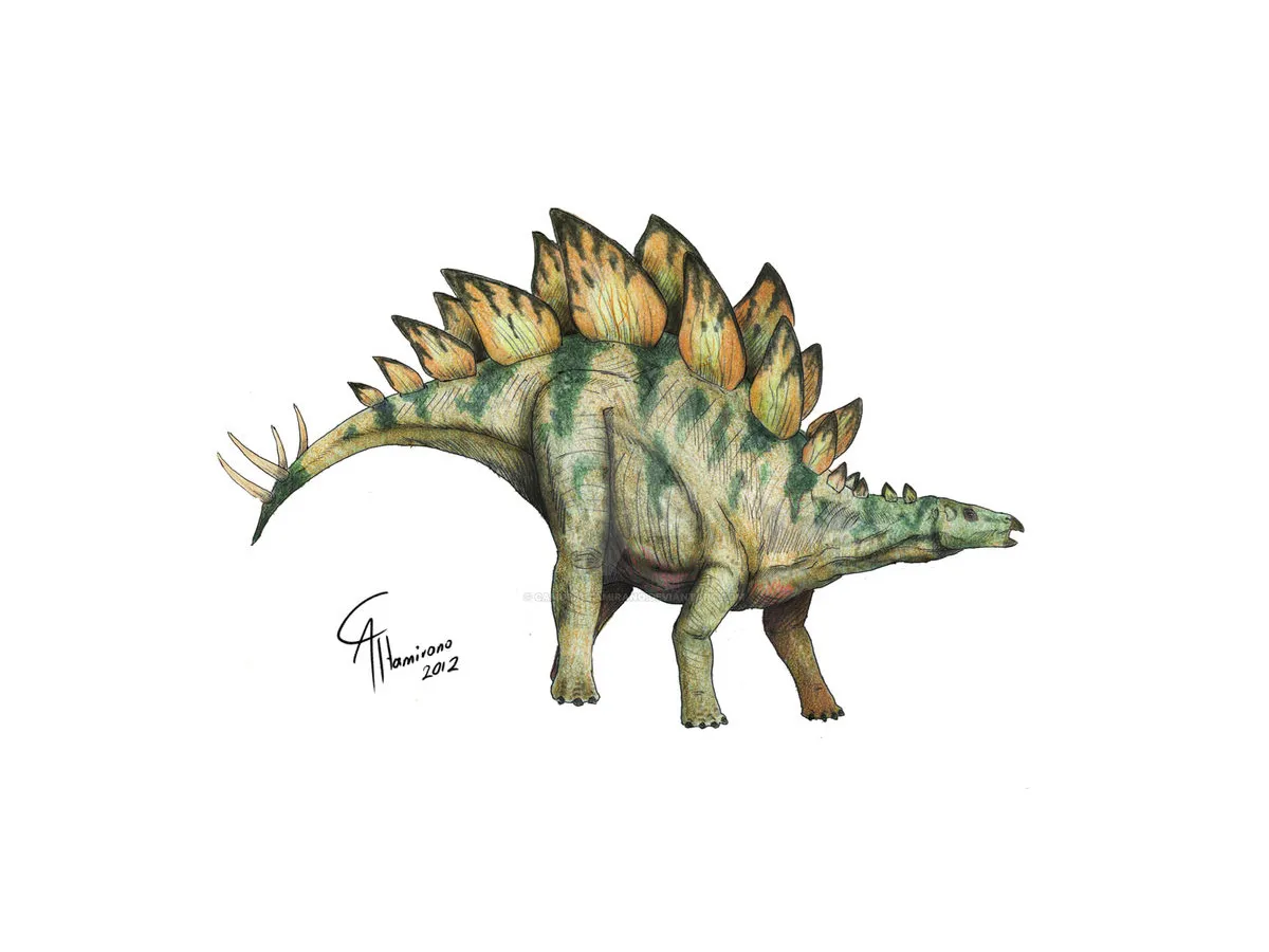 Stegosaurus