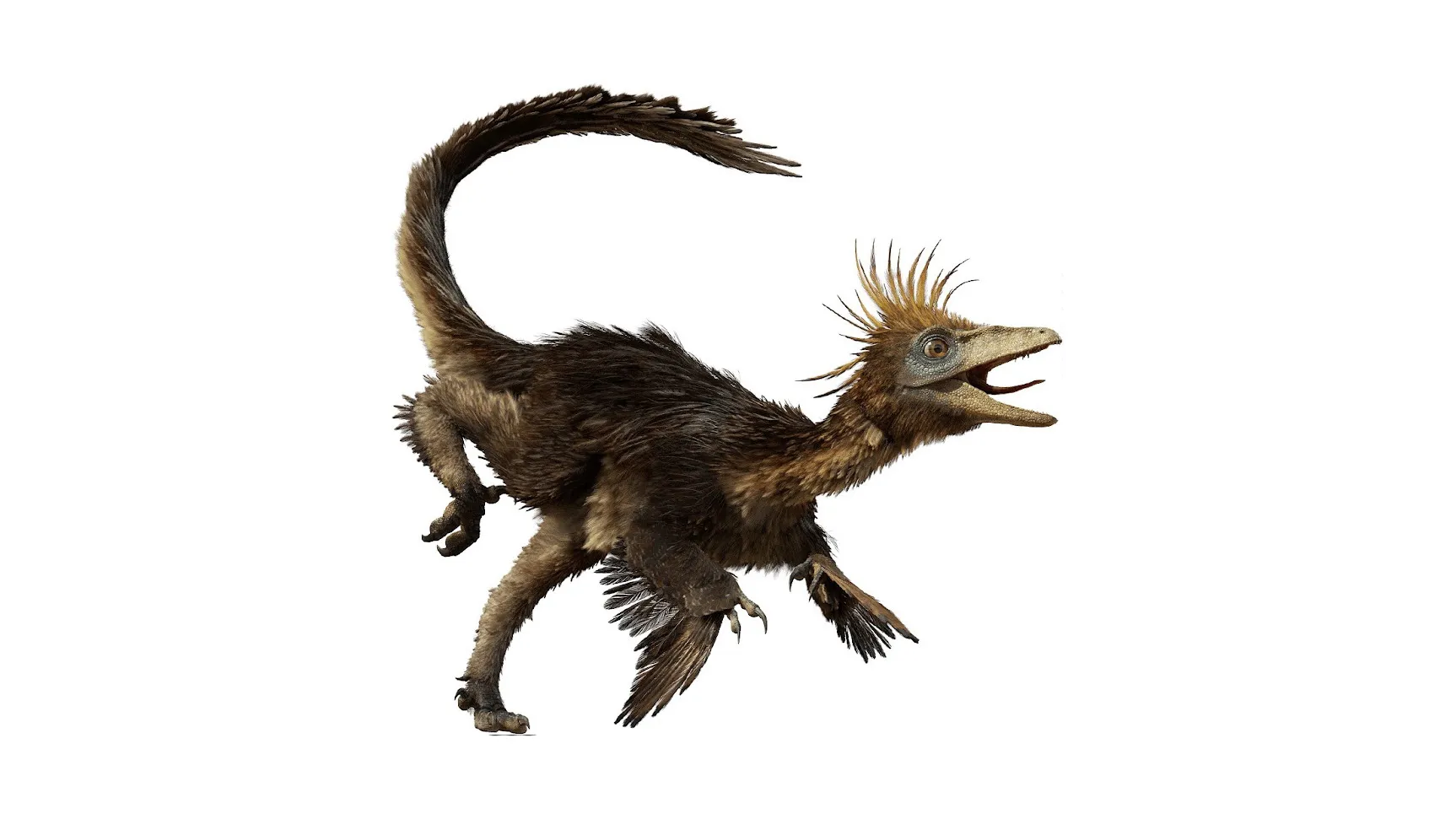 Troodon