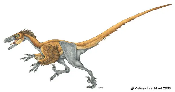 Velociraptor