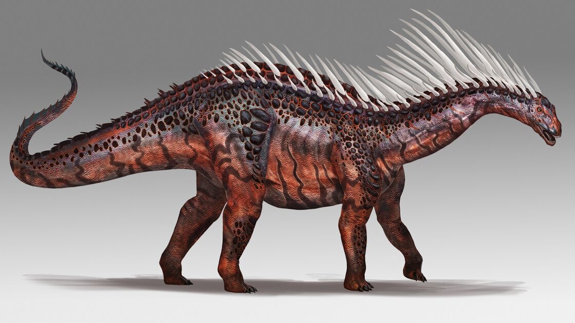 Amargasaurus ohne Haut Segel