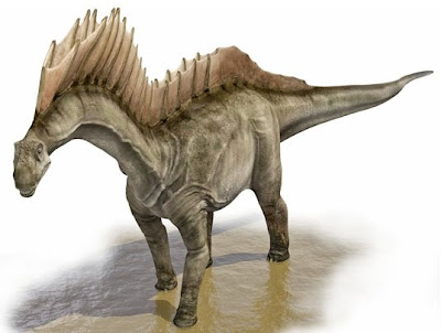 Amargasaurus mit Haut Segel