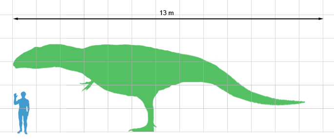 Größen Vergleich Giganotosaurus 