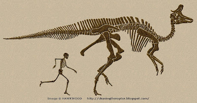 Lambeosaurus Skelett