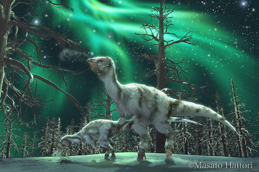 Der Leaellynasaurua unter Nordlichtern