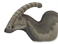 Parasaurolophuskopf